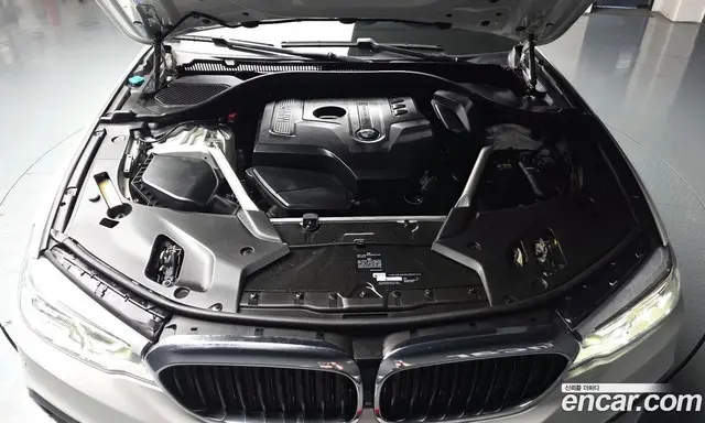 BMW 5 серия 2019 2.0 автомат (гидро), миниатюра 6