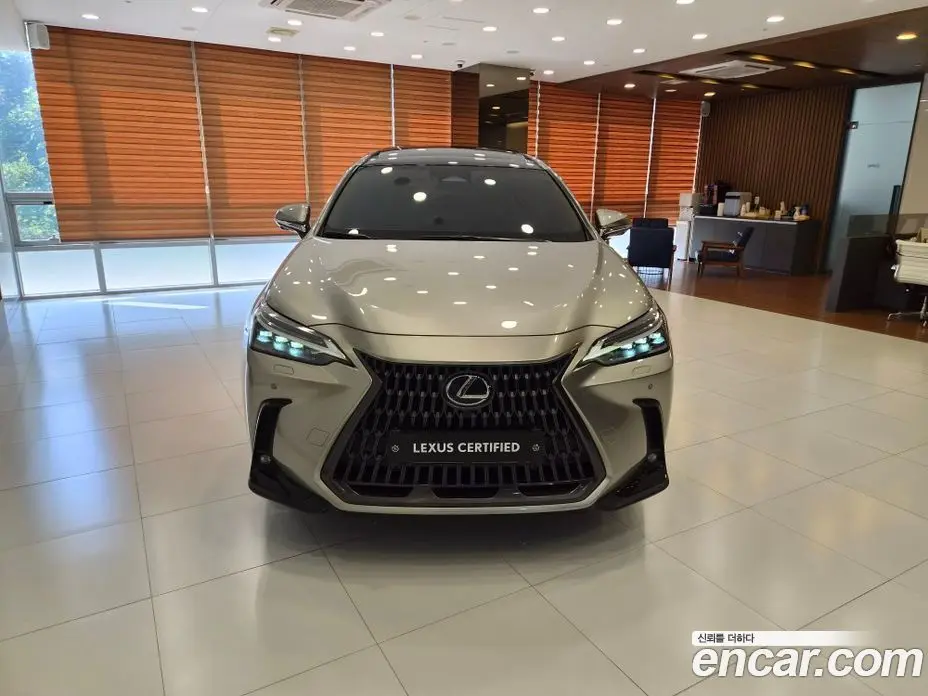 Lexus NX 2023 2.5 автомат (вариатор), фото 3 Lexus NX 2023 2.5 автомат (вариатор), фото 3