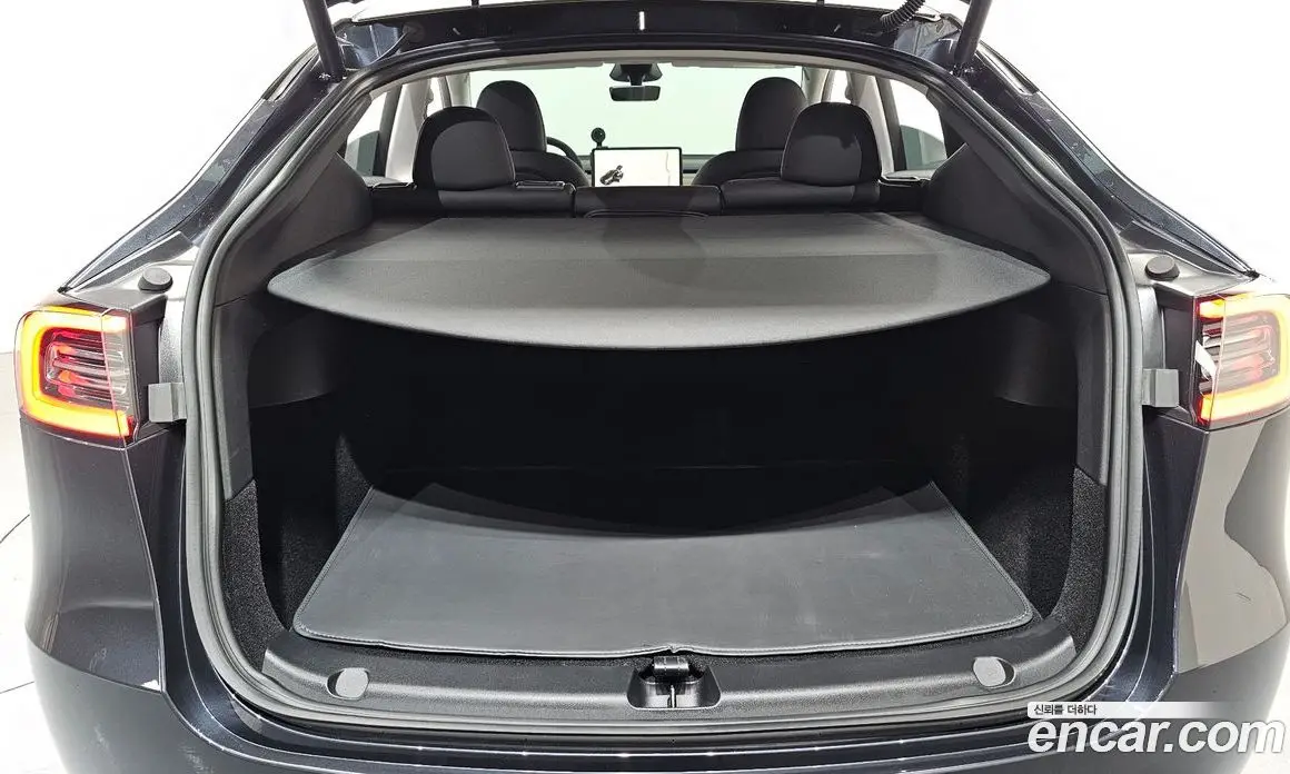 Tesla Model Y 2025 0.2 автомат (гидро), фото 24 Tesla Model Y 2025 0.2 автомат (гидро), фото 24
