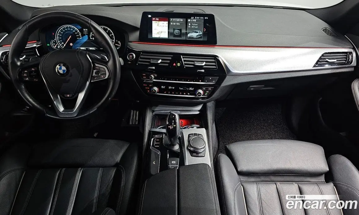 BMW 5 серия 2017 2.0 автомат (гидро), фото 10