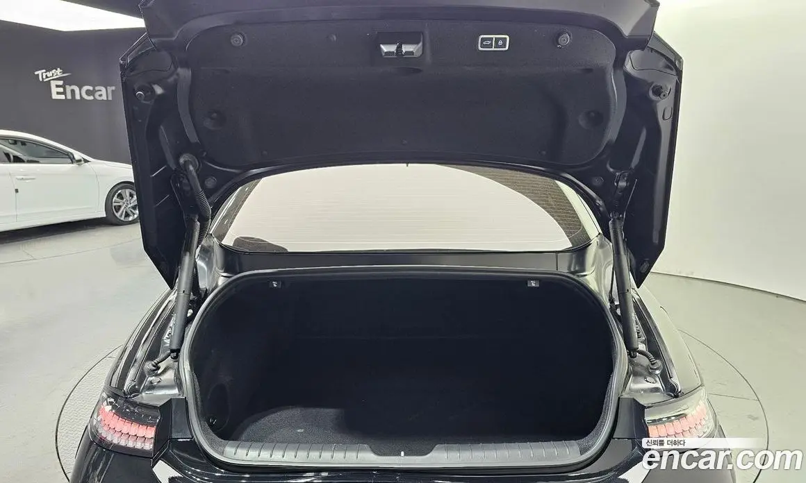 Hyundai Ioniq 6 2023 0.1 автомат (гидро), фото 19