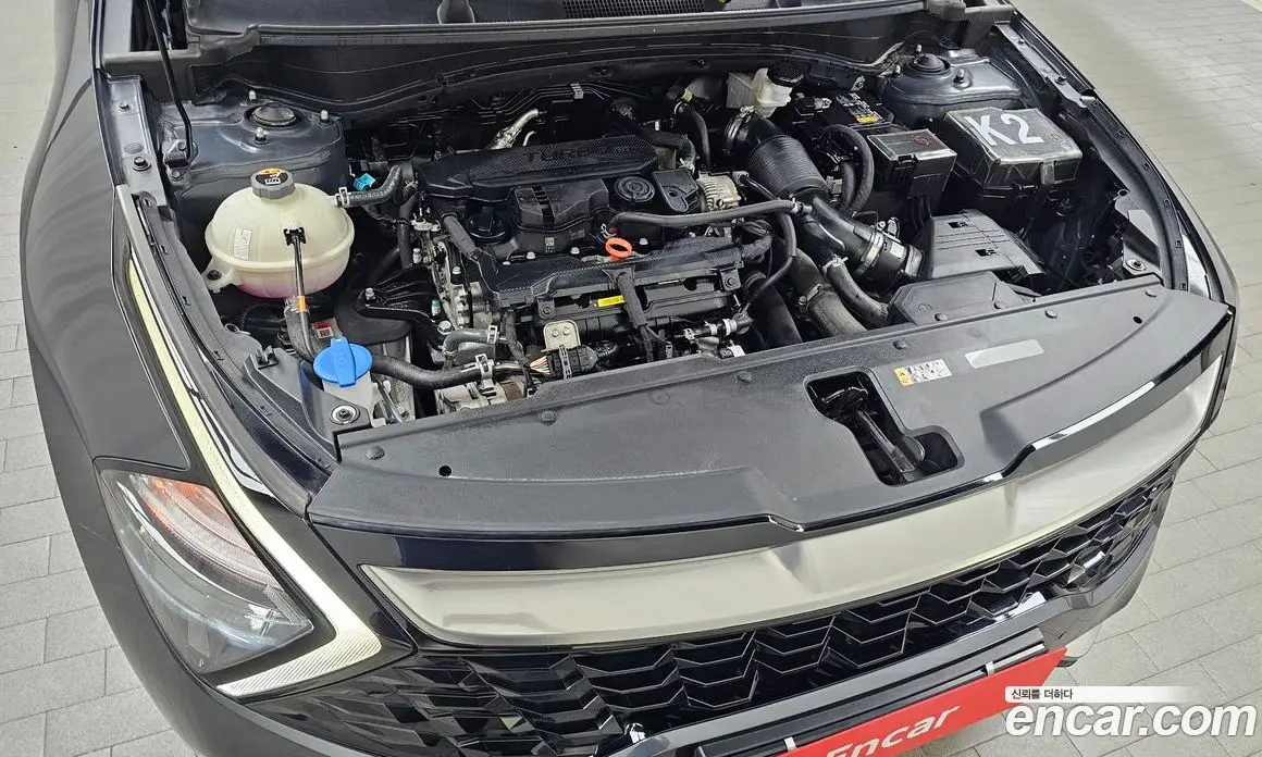 Kia Sportage 2024 1.6 автомат (гидро), фото 6