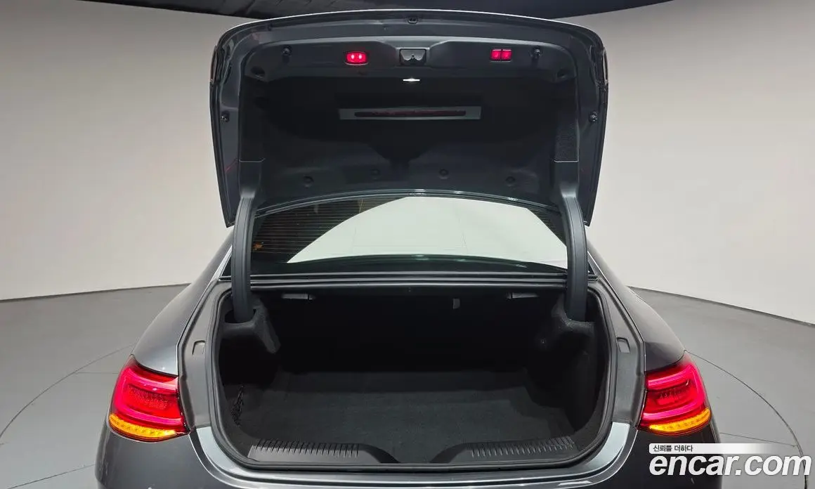 Mercedes-Benz CLS-Class 2019 3.0 гидро, фото 26 Mercedes-Benz CLS-Class 2019 3.0 гидро, фото 26