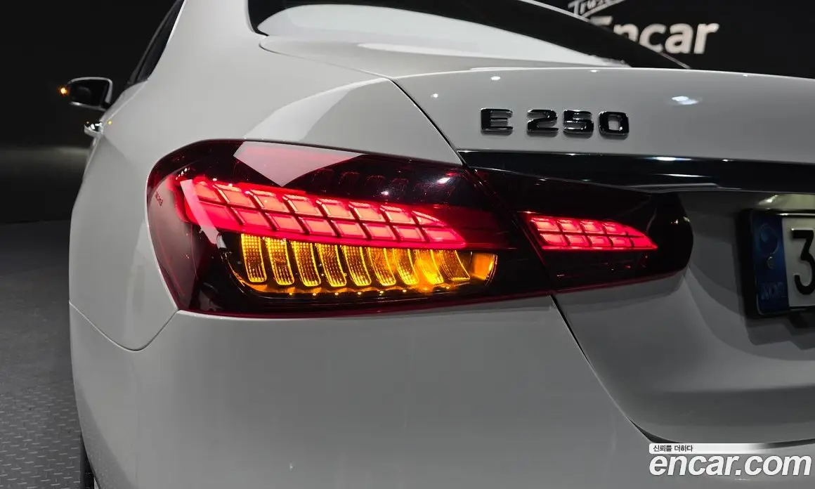 Mercedes-Benz E-Class 2020 2.0 гидро, фото 8 Mercedes-Benz E-Class 2020 2.0 гидро, фото 8