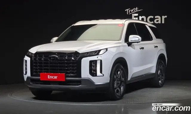 Hyundai Palisade, 2023, 29 294 км