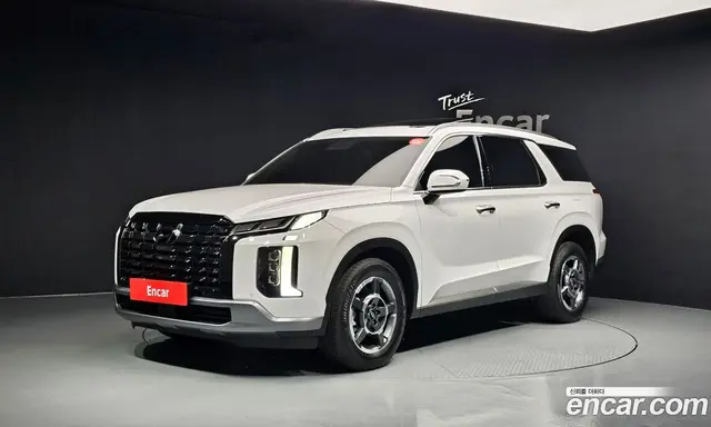 Hyundai Palisade, 2023, 37 100 км