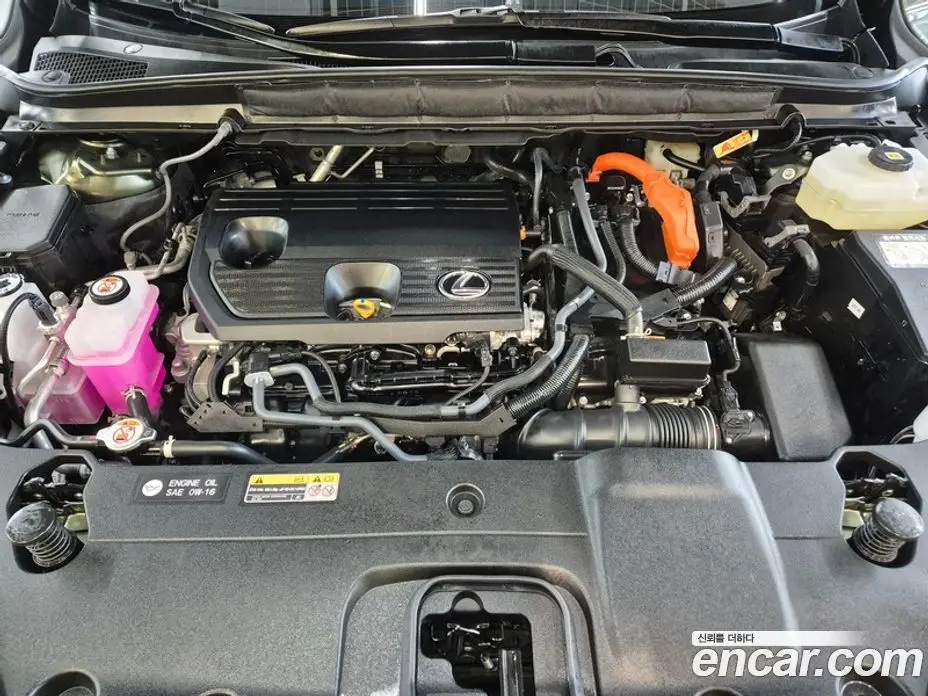 Lexus RX 2025 2.5 автомат (вариатор), фото 19 Lexus RX 2025 2.5 автомат (вариатор), фото 19