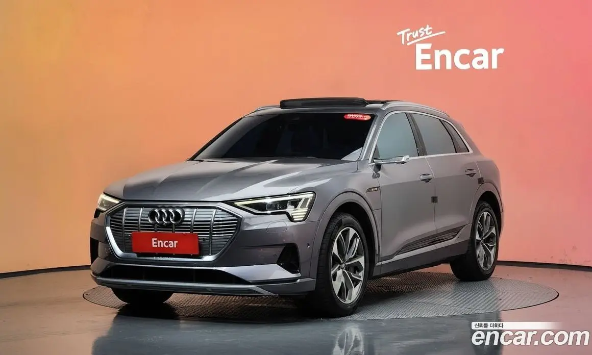 Audi e-tron 2020 0.2 автомат (гидро), фото 38