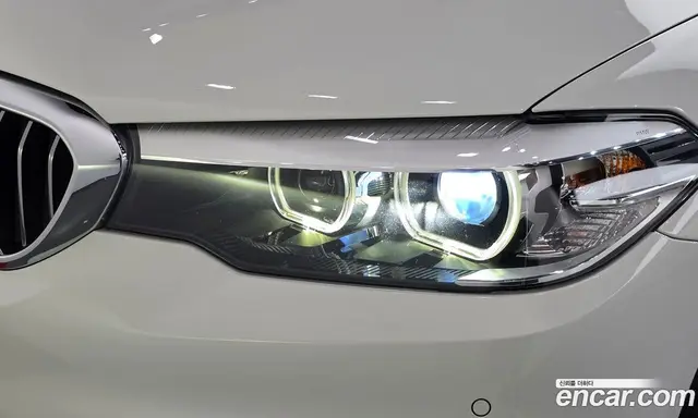 BMW 5 серия 2019 2.0 автомат (гидро), миниатюра 8