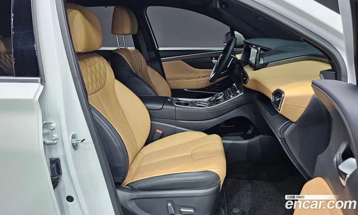 Hyundai Santa Fe 2022 2.2 автомат (гидро), фото 18