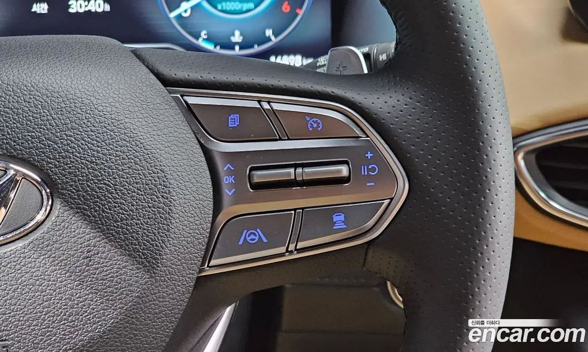 Hyundai Santa Fe 2022 2.2 автомат (гидро), фото 23