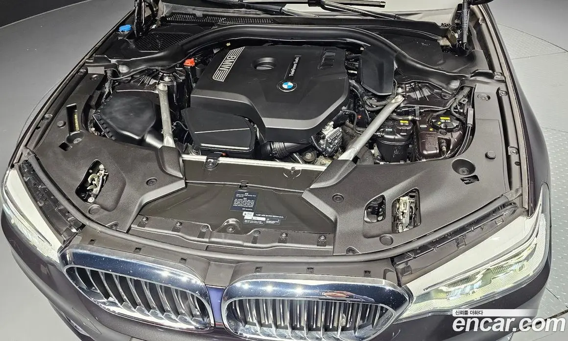 BMW 5 серия 2019 2.0 автомат (гидро), фото 6