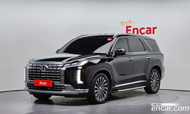 Hyundai Palisade, 2023, 39 030 км