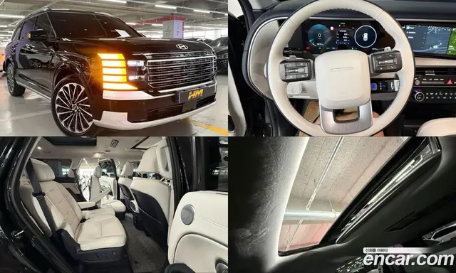 Hyundai Palisade, 2025, 12 300 км