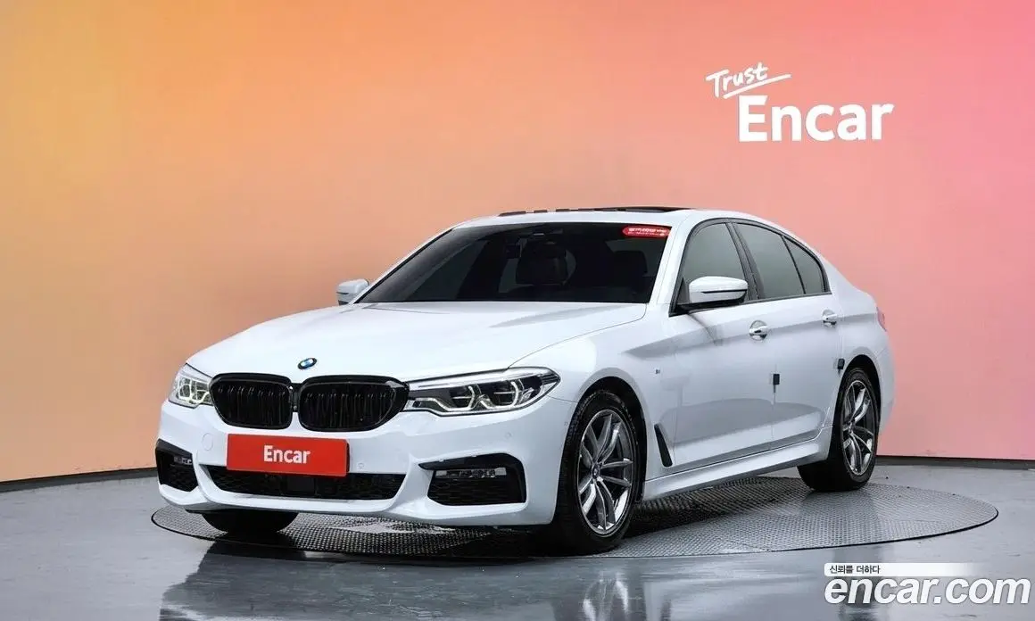 BMW 5 серия 2017 2.0 автомат (гидро), фото 37
