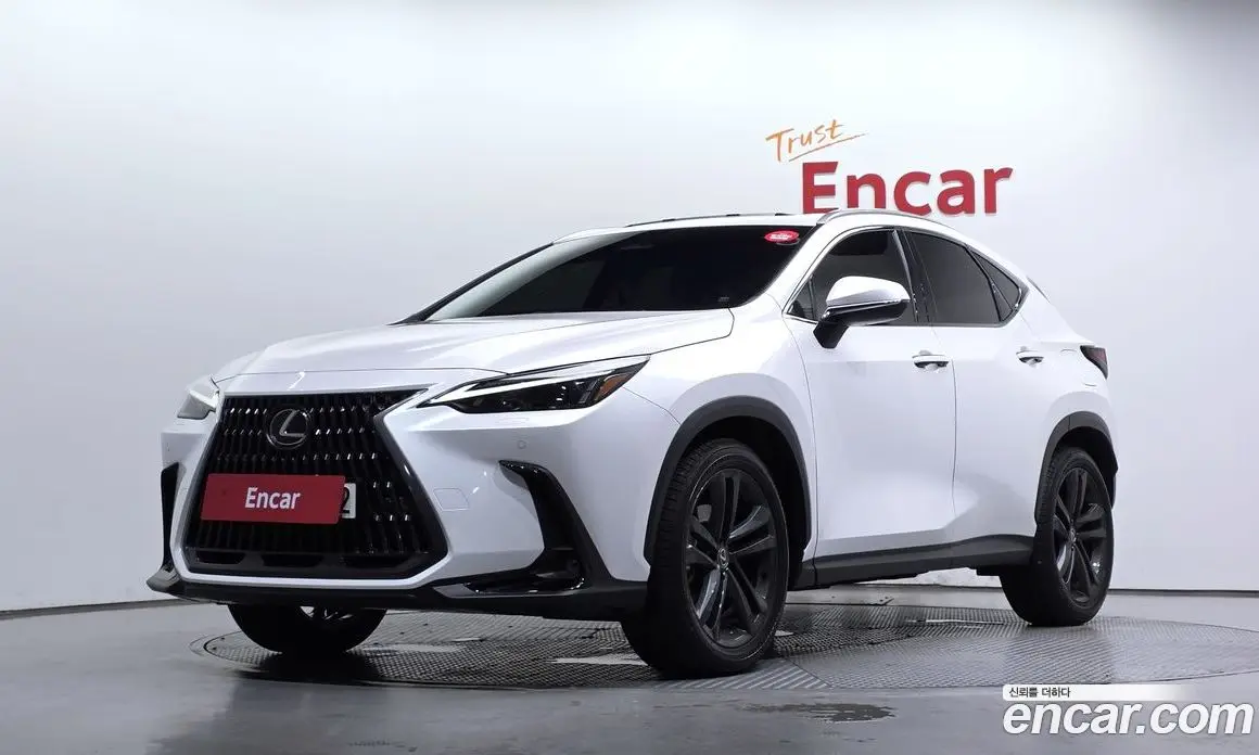 Lexus NX 2024 2.5 автомат (гидро), фото 1 Lexus NX 2024 2.5 автомат (гидро), фото 1