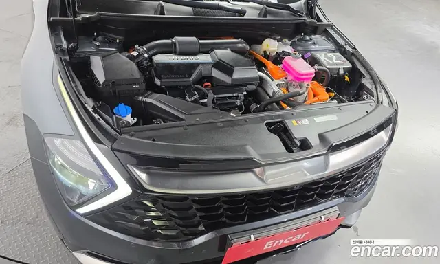 Kia Sportage 2023 1.6 автомат (гидро), миниатюра 6
