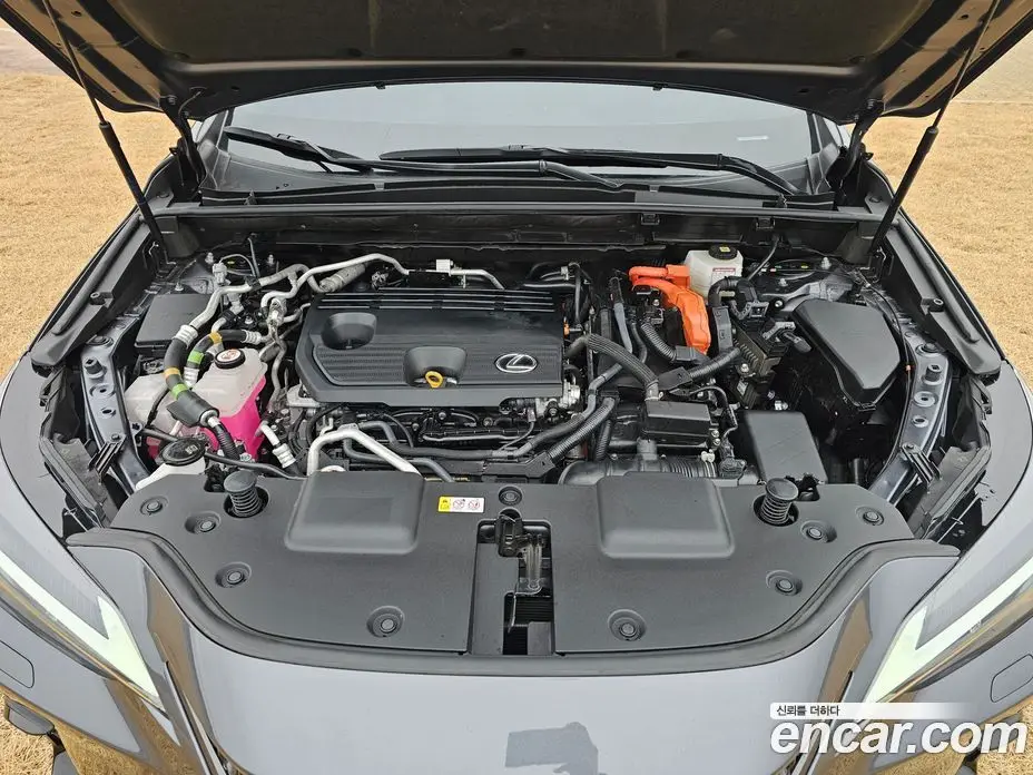 Lexus NX 2023 2.5 автомат (гидро), фото 12 Lexus NX 2023 2.5 автомат (гидро), фото 12