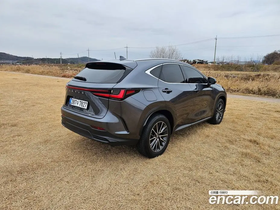 Lexus NX 2023 2.5 автомат (гидро), фото 7 Lexus NX 2023 2.5 автомат (гидро), фото 7