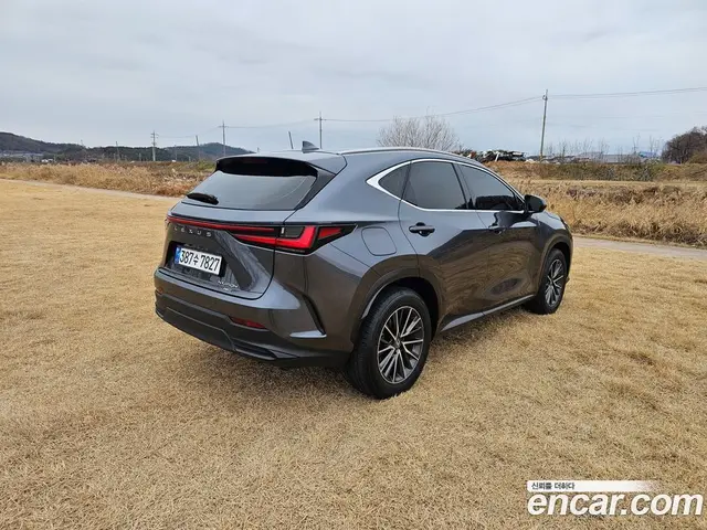 Lexus NX 2023 2.5 автомат (гидро), миниатюра 7 Lexus NX 2023 2.5 автомат (гидро), миниатюра 7
