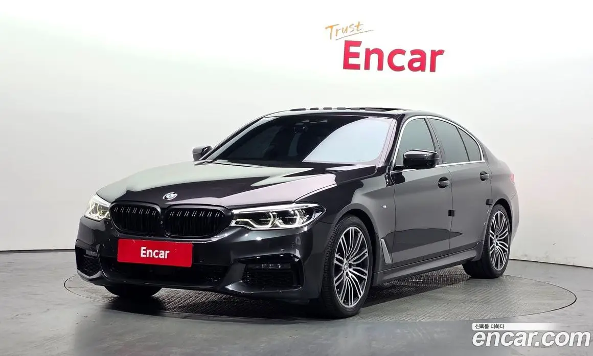 BMW 5 серия 2019 2.0 автомат (гидро), фото 1