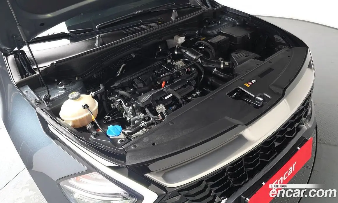 Kia Sportage 2022 1.6 автомат (гидро), фото 5