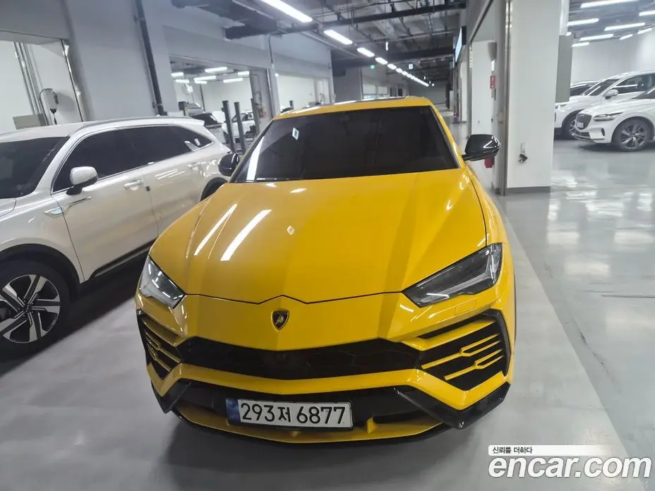 Lamborghini Urus 2021 4.0 автомат (гидро), фото 1 Lamborghini Urus 2021 4.0 автомат (гидро), фото 1