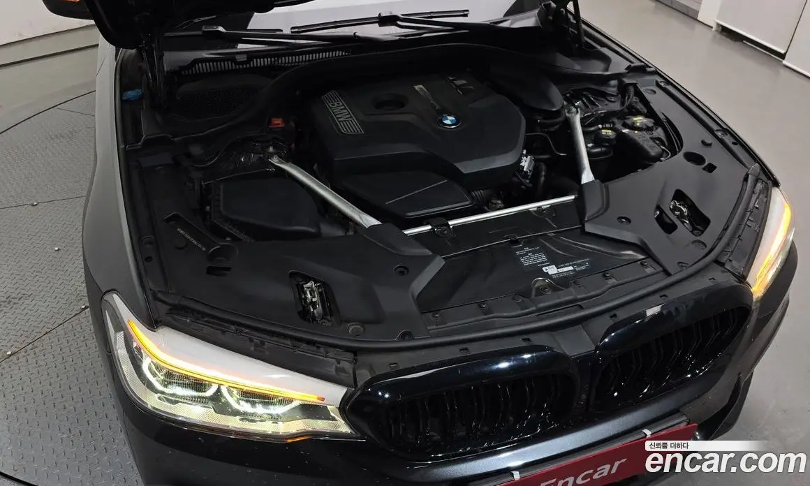 BMW 5 серия 2019 2.0 автомат (гидро), фото 6