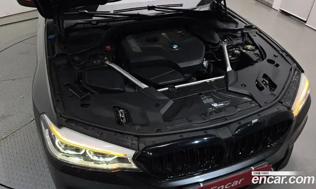 BMW 5 серия 2019 2.0 автомат (гидро), миниатюра 6