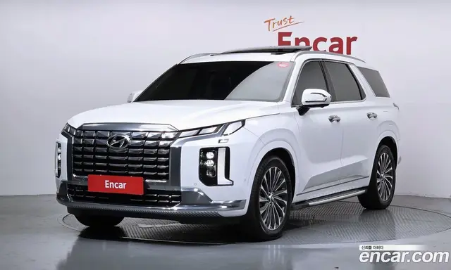 Hyundai Palisade, 2023, 17 918 км