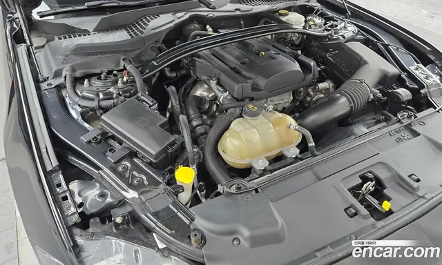 Ford Mustang 2018 2.3 автомат (гидро), миниатюра 6