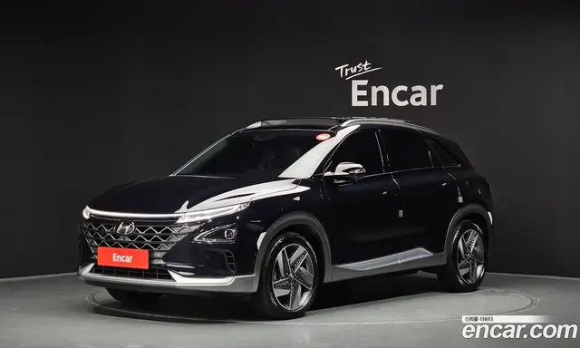 Hyundai Nexo, 2022, 29 314 км