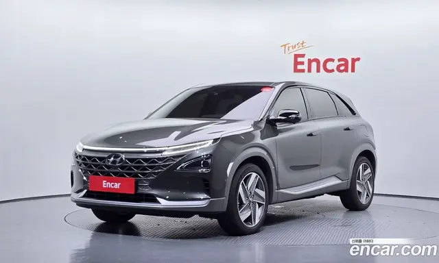 Hyundai Nexo, 2024, 19 459 км