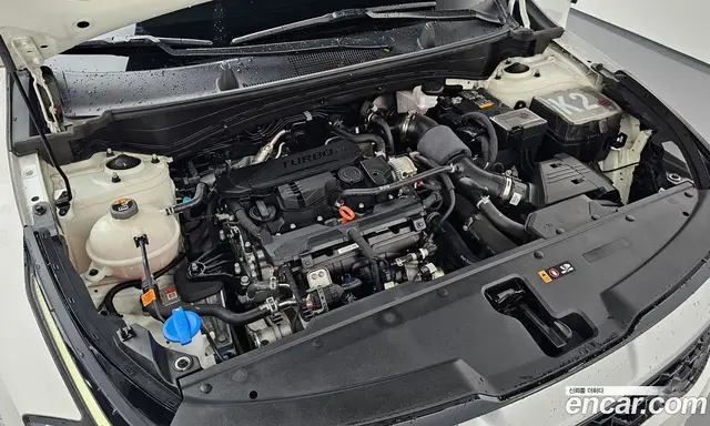 Kia Sportage 2022 1.6 автомат (гидро), миниатюра 6