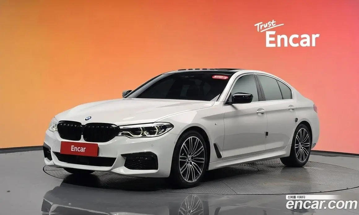 BMW 5 серия 2019 2.0 автомат (гидро), фото 33
