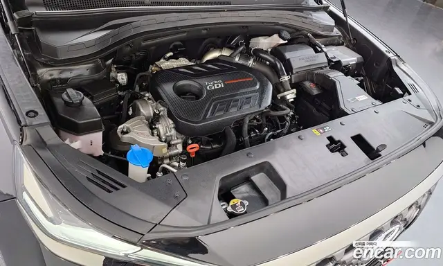 Hyundai Santa Fe 2019 2.0 автомат (гидро), миниатюра 6