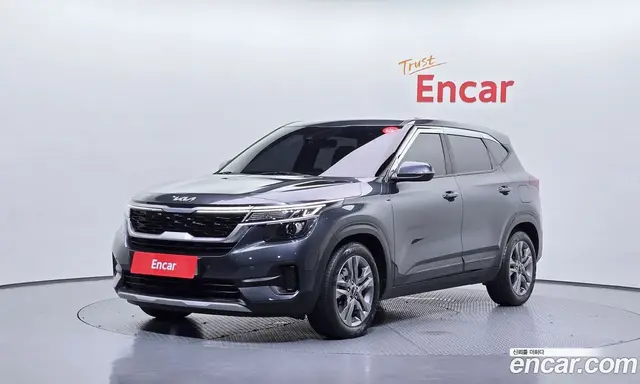 Kia Seltos, 2022, 17 238 км