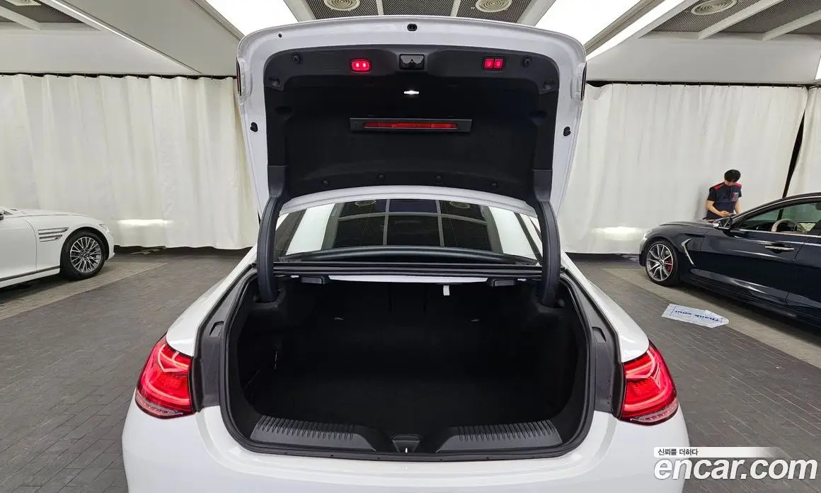 Mercedes-Benz CLS-Class 2018 2.9 гидро, фото 26 Mercedes-Benz CLS-Class 2018 2.9 гидро, фото 26