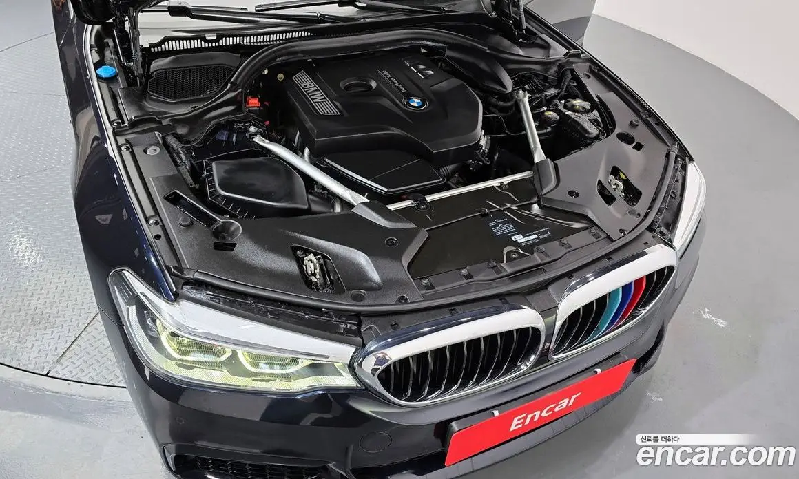 BMW 5 серия 2019 2.0 автомат (гидро), фото 6