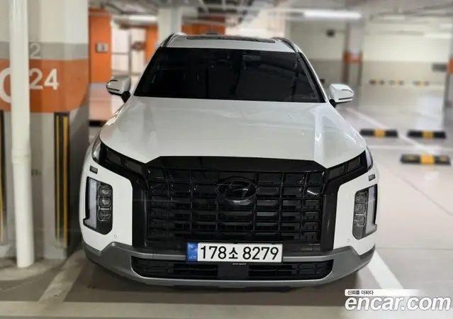 Hyundai Palisade, 2024, 23 000 км