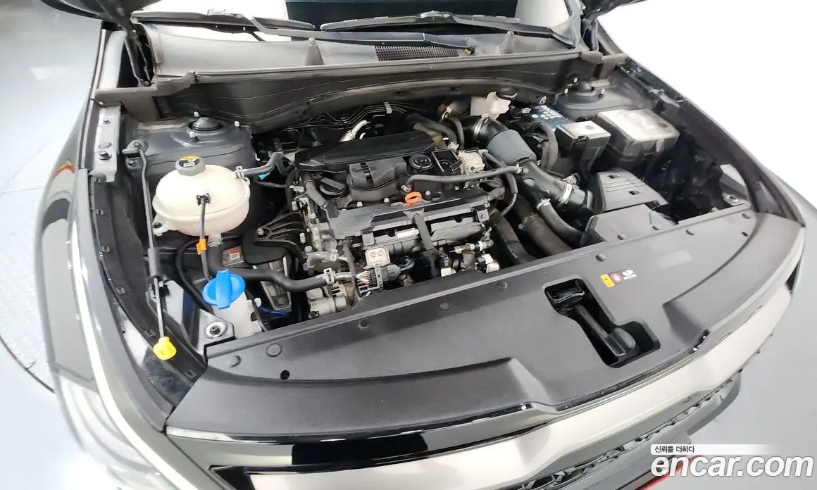Kia Sportage 2023 1.6 автомат (гидро), фото 6