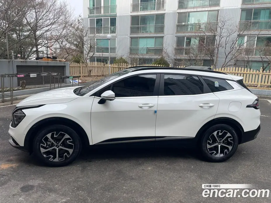 Kia Sportage 2024 1.6 автомат (гидро), фото 6