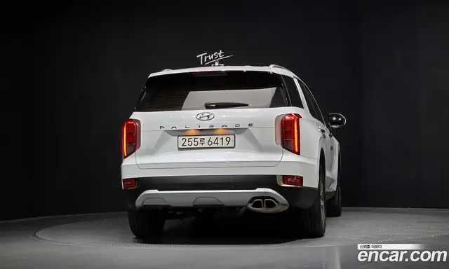 Hyundai Palisade 2022 3.8 автомат (гидро), миниатюра 4