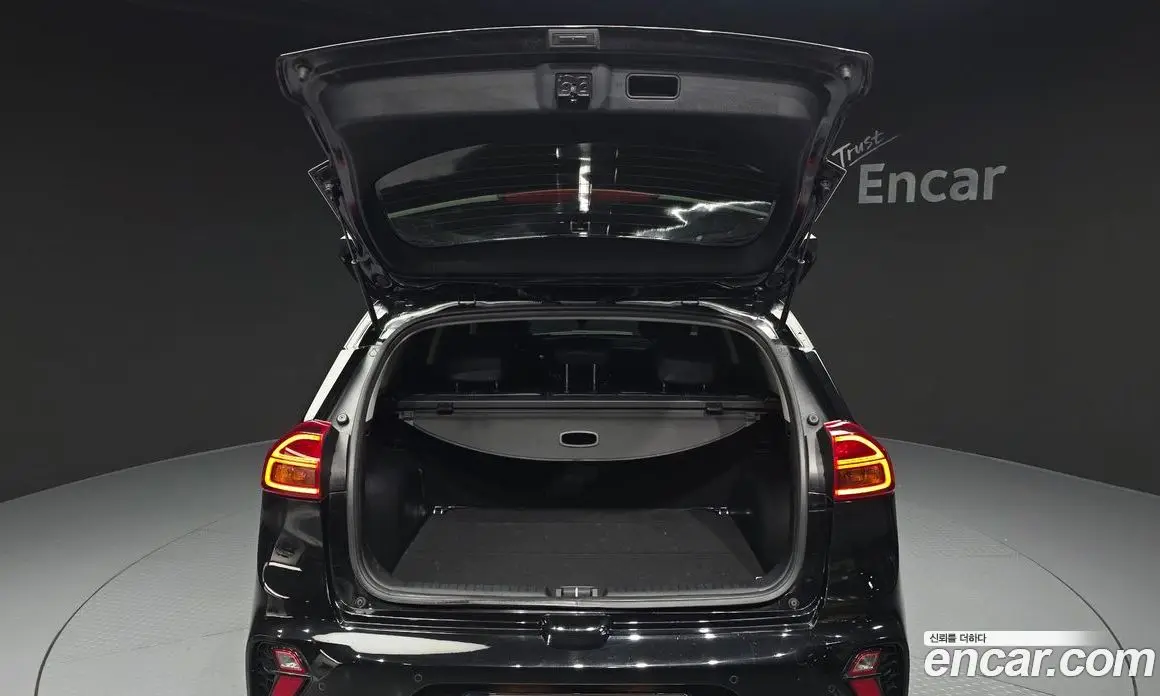 Kia Niro 2020 1.6 автомат (гидро), фото 20