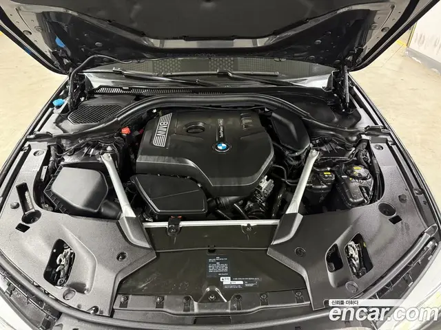 BMW 5 серия 2019 2.0 автомат (гидро), миниатюра 6