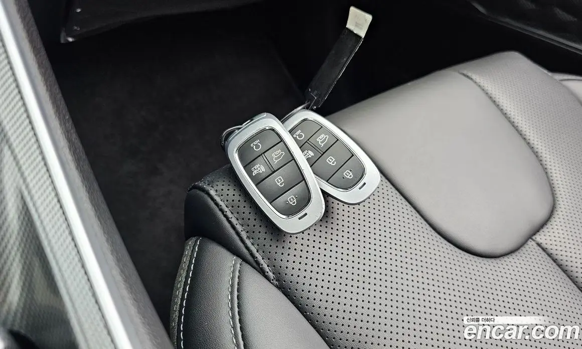 Hyundai Santa Fe 2022 2.2 автомат (гидро), фото 18