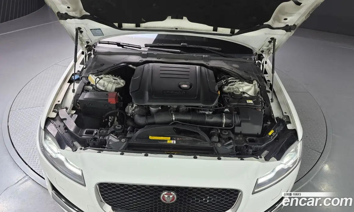 Jaguar XF 2016 2.0 автомат (гидро), фото 6 Jaguar XF 2016 2.0 автомат (гидро), фото 6