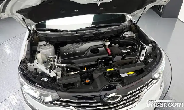 Renault (Samsung) QM6 2018 2.0 автомат (гидро), миниатюра 6