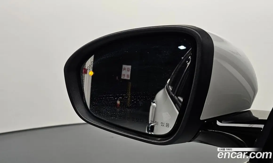 Renault (Samsung) SM6 2016 2.0 автомат (гидро), фото 19