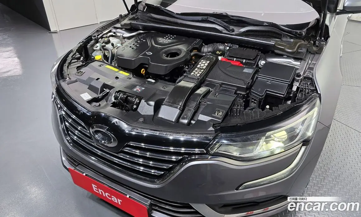 Renault (Samsung) SM6 2017 2.0 автомат (гидро), фото 6